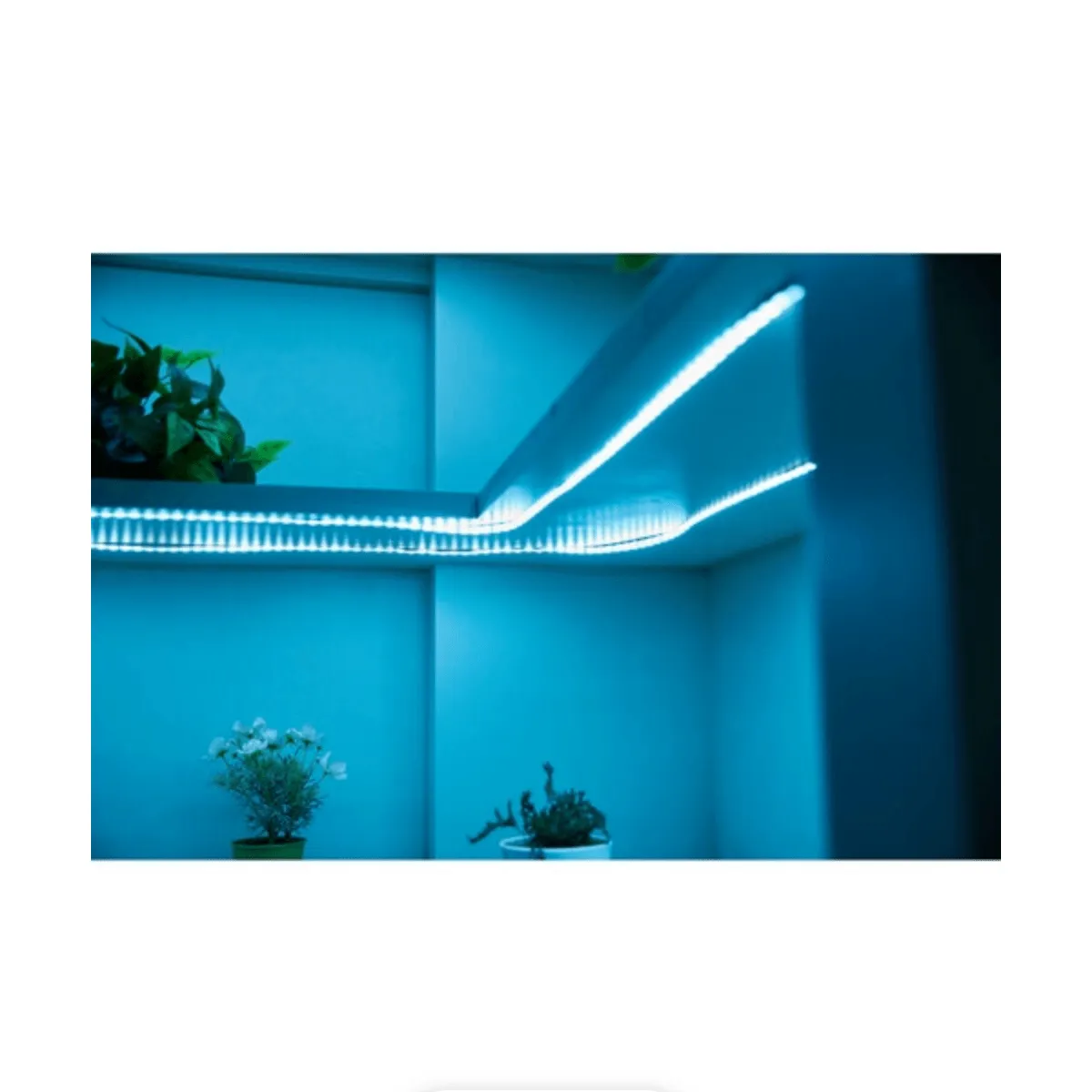 amaran SM5c LED Light Strip (16.4', Multicolor)