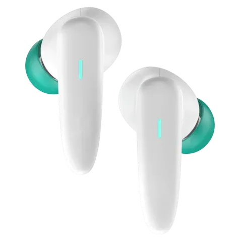 Buds VR101