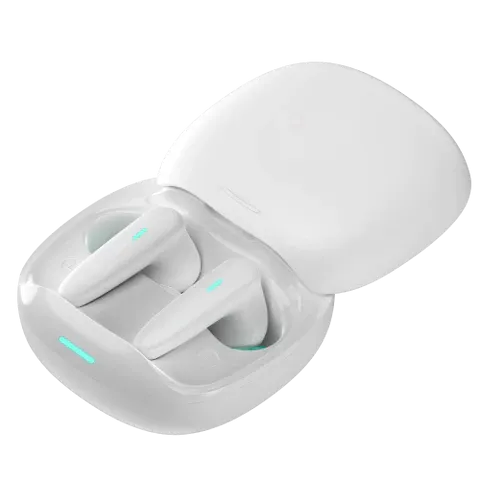 Buds VR101
