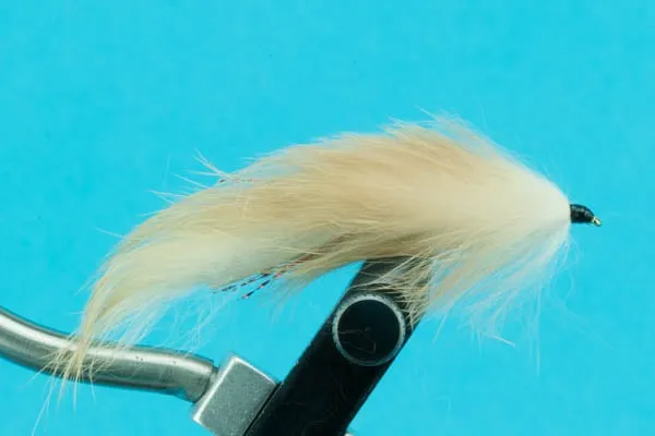 Bunny Leech