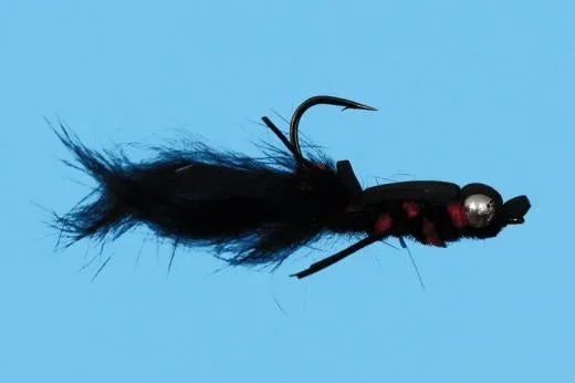Crayfish Bunny - Solitude