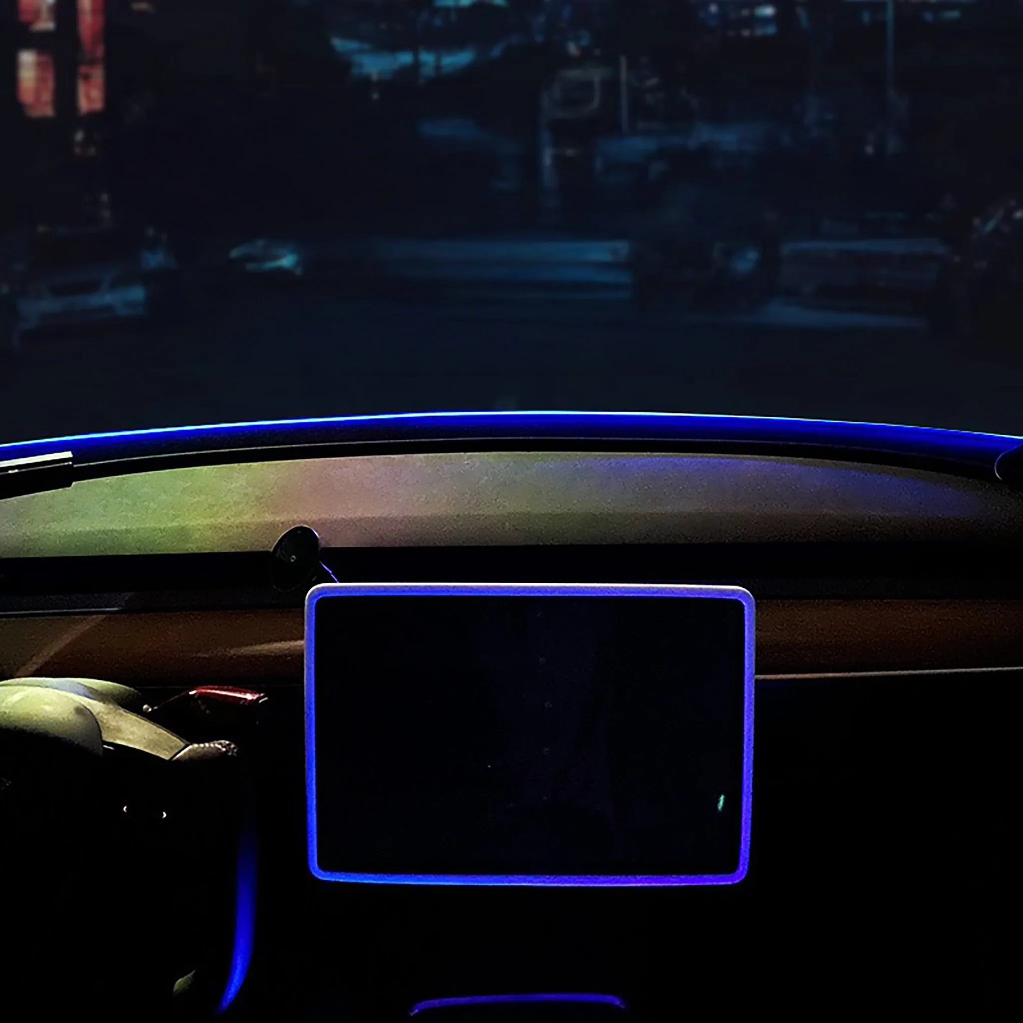 Custom Fit LED Ambient Neon Light for Tesla Model 3 & Model Y