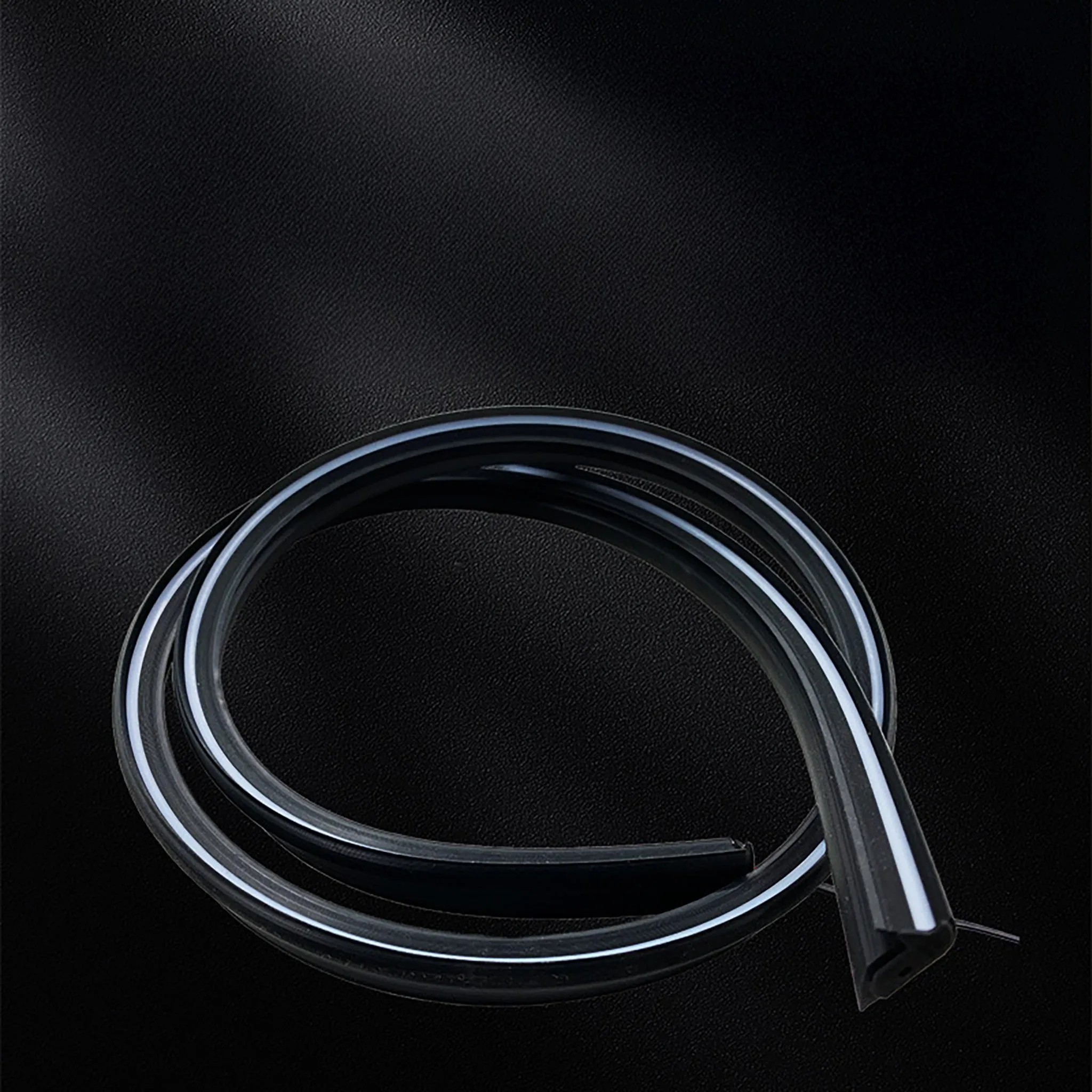 Custom Fit LED Ambient Neon Light for Tesla Model 3 & Model Y