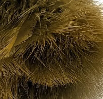 Fish Hunter Blood Quill Spey Marabou Master Pack