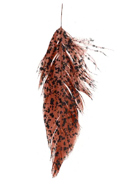 MFC Mottled Schlappen