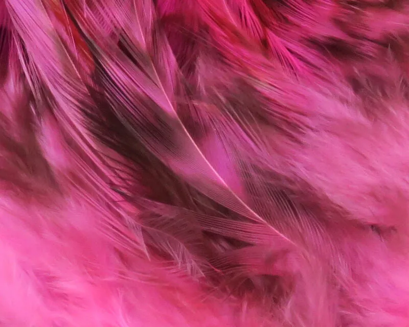 Strung 4-6 inch Grizzly Variant Saddle Hackle--Hareline