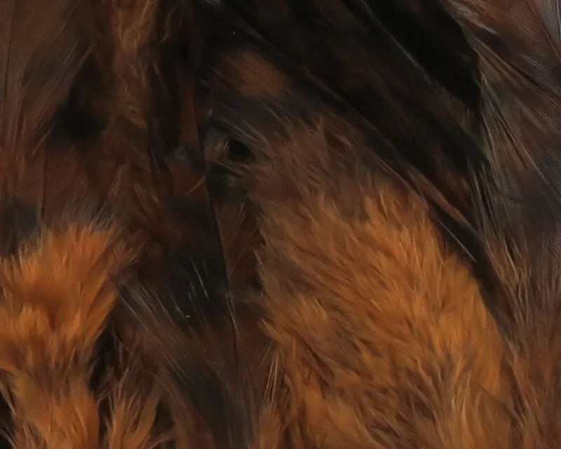 Strung 4-6 inch Grizzly Variant Saddle Hackle--Hareline