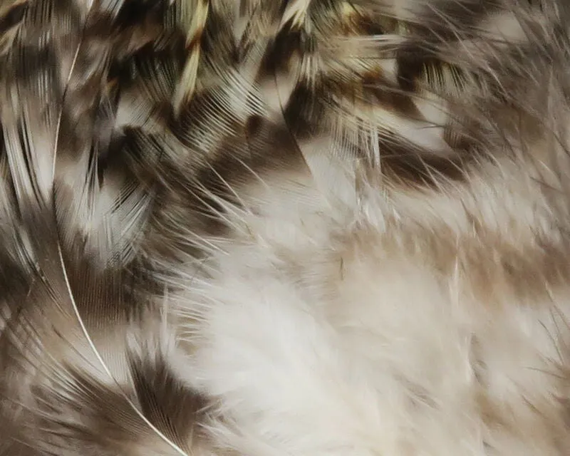 Strung 4-6 inch Grizzly Variant Saddle Hackle--Hareline