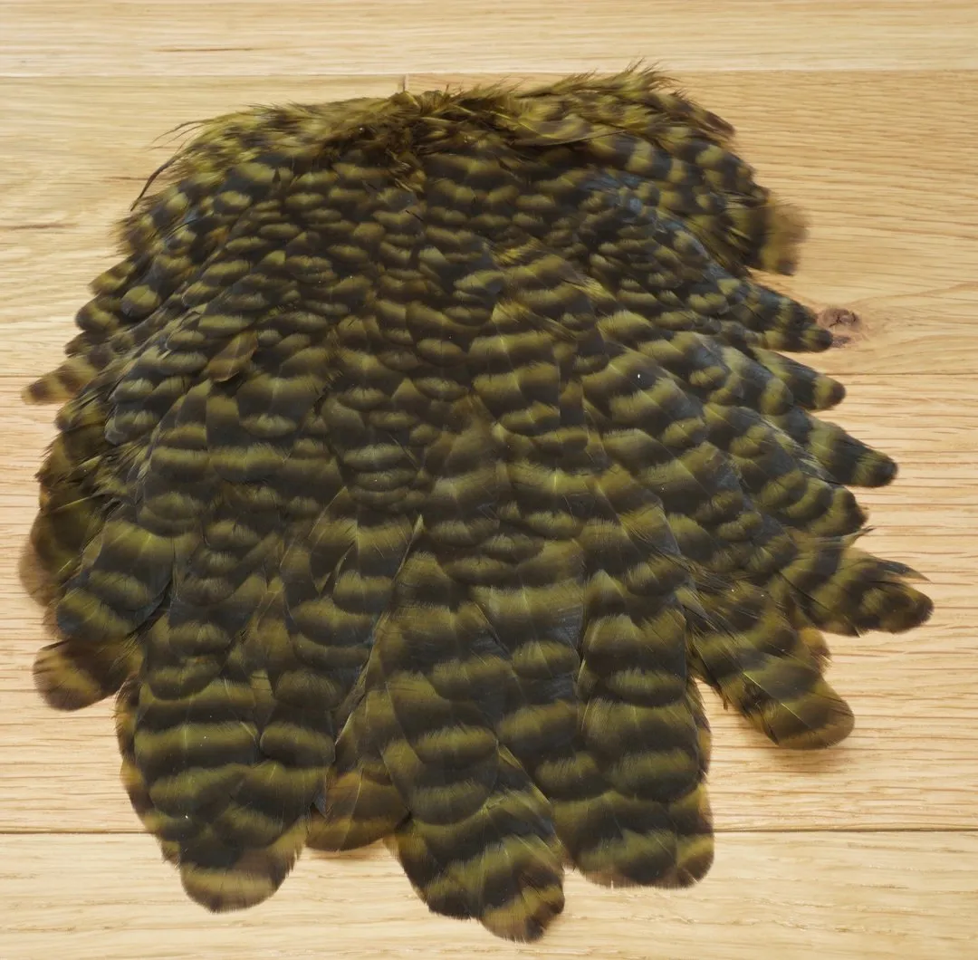 Whiting American Hen Saddles