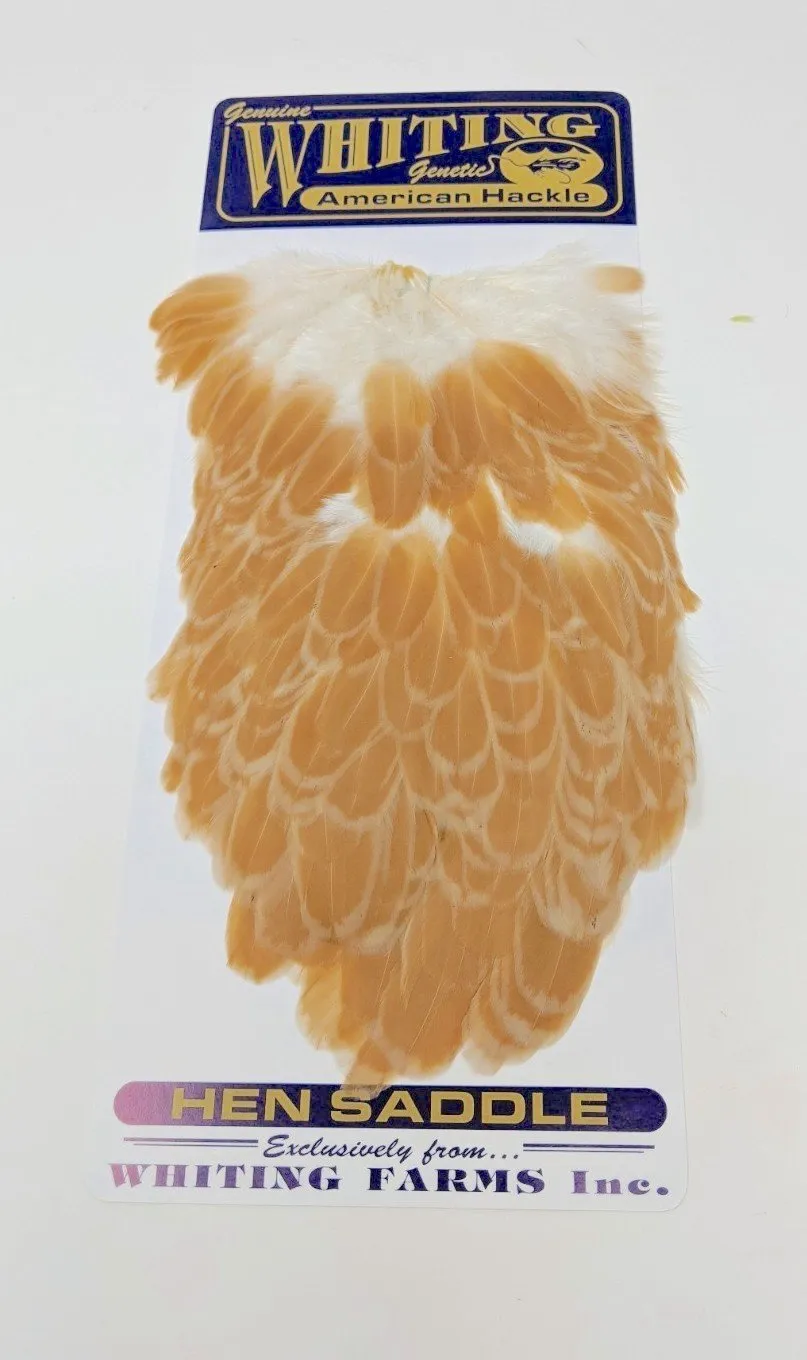 Whiting American Hen Saddles