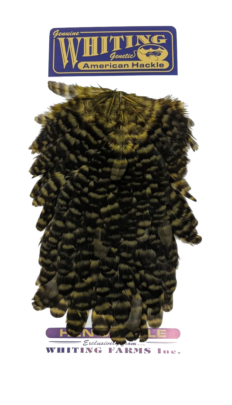 Whiting American Hen Saddles